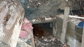 A photo of a portal, or an unsealed entrance to a mine tunnel.