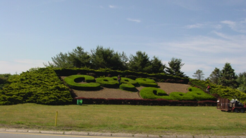 The topiary at the Bourne Bridge rotary spells out the words "Cape Cod." It is one of the community-oriented features near the bridges.