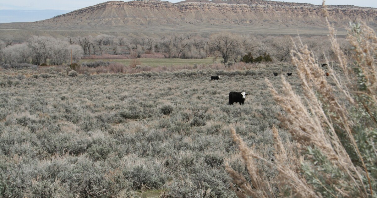 UW Extension research: what’s on the minds of Wind River Basin ranchers