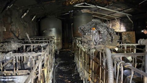 Burned distillery with charred stills in Wilkes County.