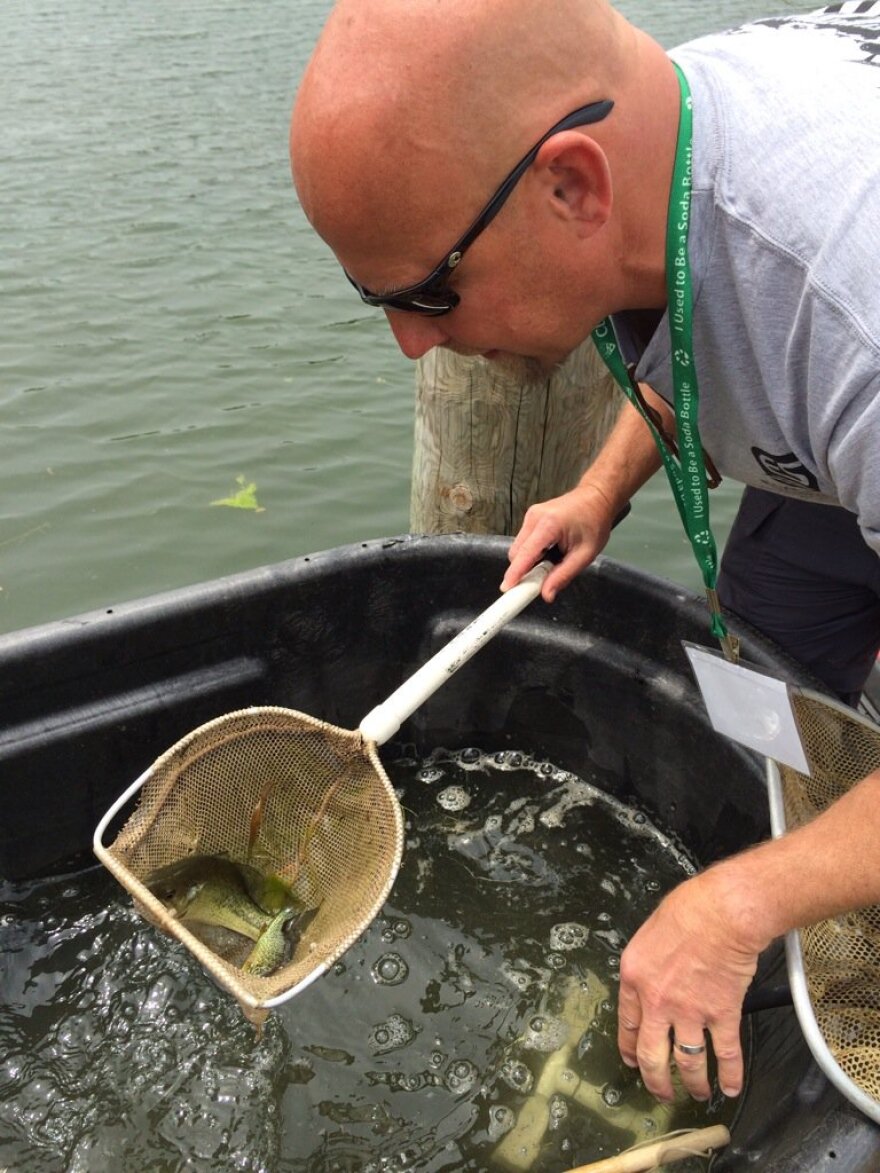 photo of electrofishing