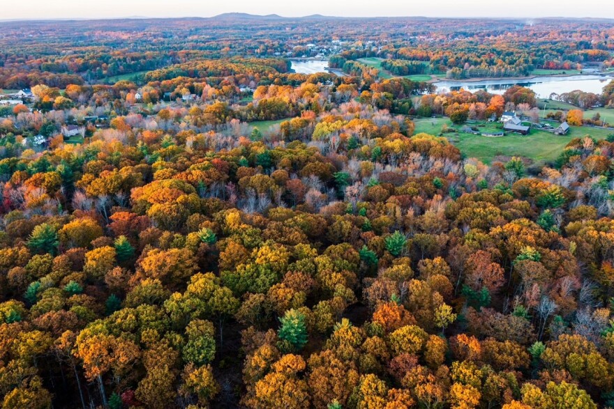 An aerial view of Lafcadio's Woods preserve in York.