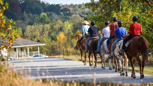 Good Samaritan riding the horses 