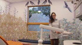 Pediatric dentist Kim Hort adjusts the dentist’s chair in SEARHC’s Juneau dental clinic where she works on Dec. 19, 2018. Hort says the vast majority of patients she sees are at high risk of cavities. (Photo by Jeremy Hsieh/KTOO)