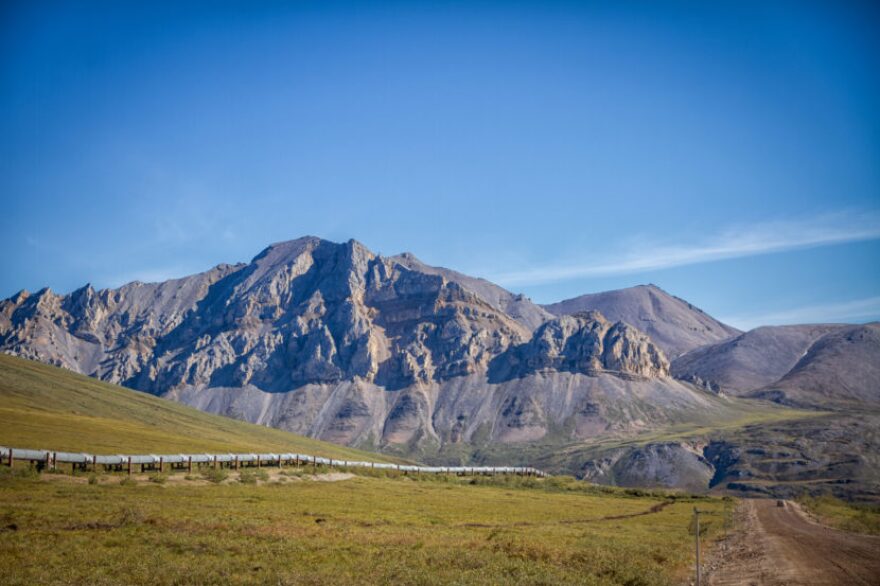 The Trans Alaska Pipeline, or TAPS, carries crude from Alaska's North Slope to the rest of the state, shown here running along the Dalton Highway. Oil prices have rebounded slightly in the last few weeks, analysts say that won't mean much for Alaska's bottom line. (Photo by Lindsay Ohlert/Creative Commons)