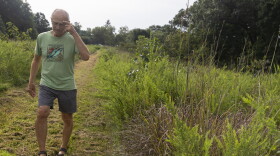 Dan Kuebler walks along a path on Aug. 13, 2026, in Ashland, Mo. Kuebler worked with the Department of Natural Resources and the USDA to remove cedar trees in order for more native plants to grow. “This looks so different than it did even 10 years ago,” Kuebler said.