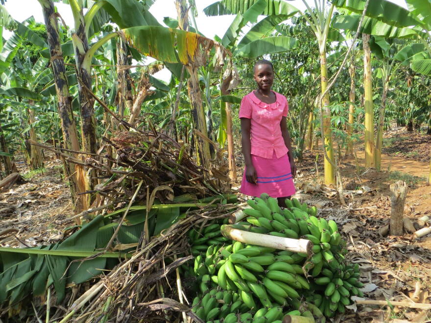 Lovincer from Uganda works managing her fresh banana business to support her family.