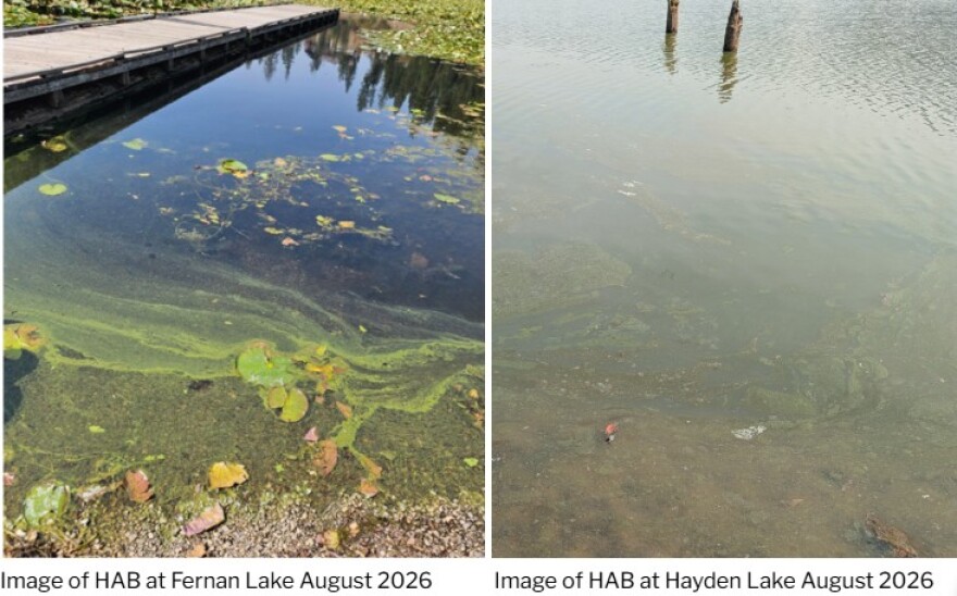 Idaho public health agencies have issued public health advisories for North Idaho’s Fernan Lake and the upper end of Hayden Lake.