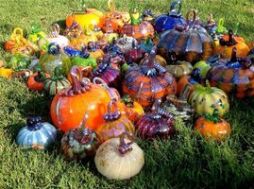 The Live Oak Glass Annual Pumpkin Patch at Live Oak Grange