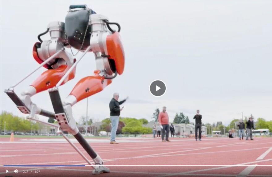 Cassie the robot starts the 100 meter dash at OSU's track