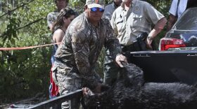 (Andrea Cornejo/ WUFT News)