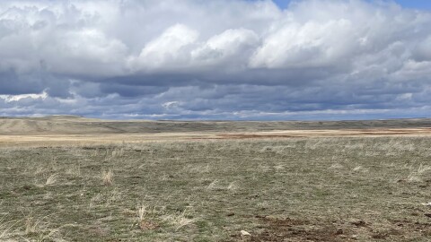 Phillips County prairie land