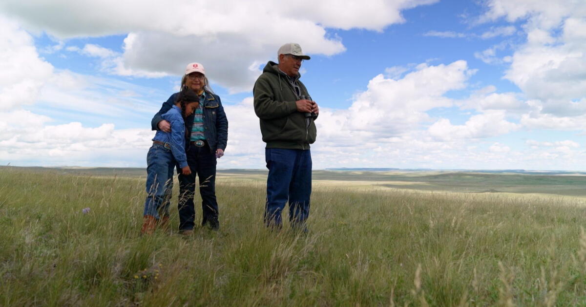 Restoring Native Grasses | Connecticut Public