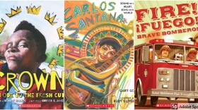 Some of the titles featured in the Rising Voices Library (Courtesy)