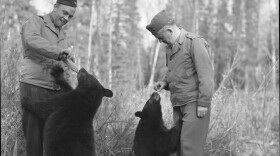 Two soldiers are seen in this black-and-white photo feeding black bear cubs.