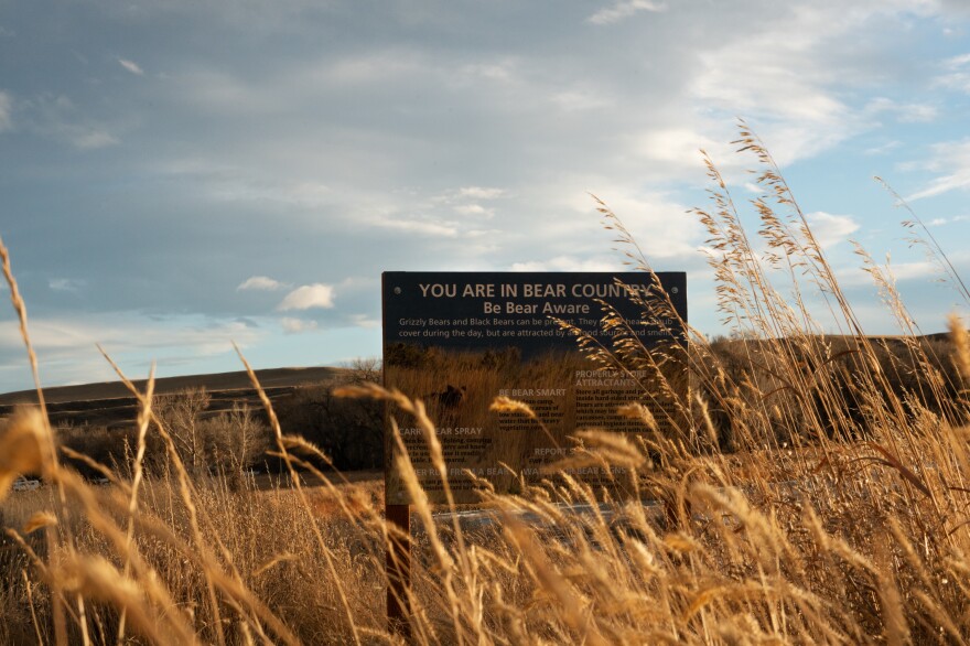 A sign that reads "You are in bear country, be bear aware" stands amongst tall grasses next to the Marias River in northwest Montana.