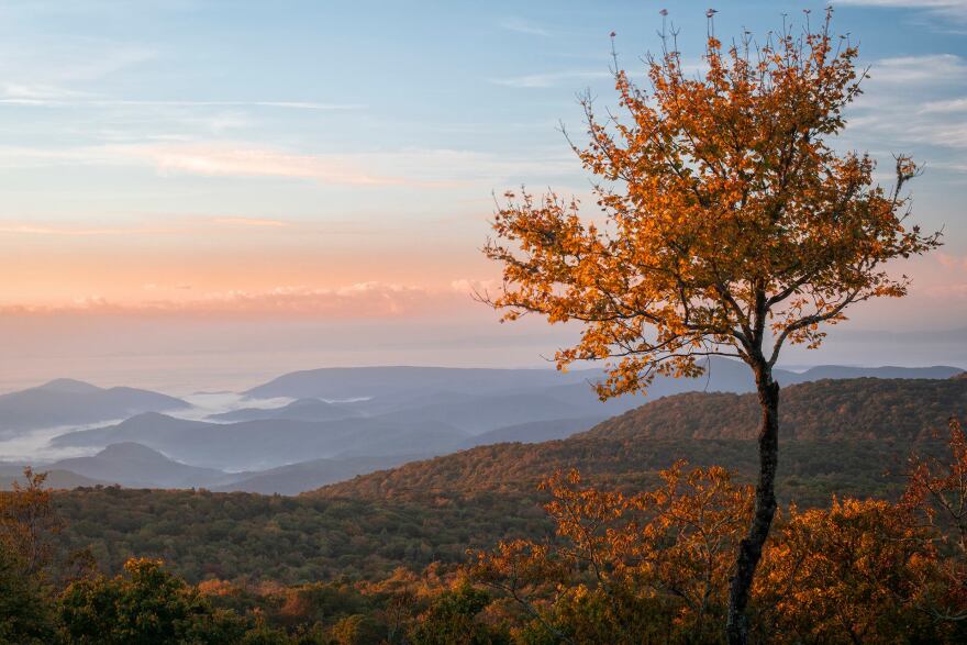 A picnic spot on Grandfather Mountain, located just before Split Rock and Sphinx Rock. Photo by Skip Sickler, Grandfather Mountain Stewardship Foundation.