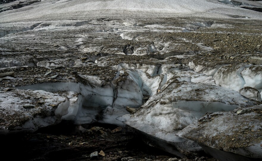 The western glacier stone fly and the meltwater lednian stone fly depend on glacial meltwater in high-elevation alpine environments. But scientists estimate the famed ice masses and snowfields of Glacier National Park will have mostly disappeared by 2030.