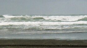 Waves crash onto Yakutat’s Cannon Beach. (Photo by Ed Schoenfeld/CoastAlaska.)