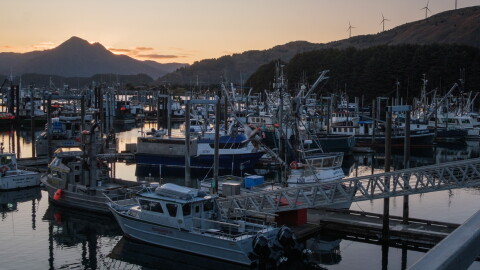 Several boats of the island’s fleet dock at the St. Herman Harbor. (Brian Venua/KMXT)