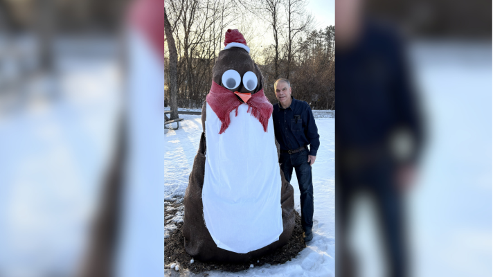 A man stands next to a tree that is disguised as a penguin on a snowy February day.