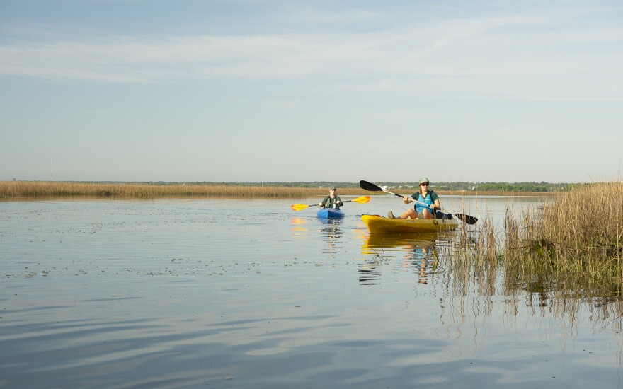 Wildlife Conservation Technician Kimmy Miller (left) and Coastal Wildlife Diversity Biologist Sarah Finn (right) kayak in search of terrapins. The Terrapin Tally is conducted in teams of two, with one partner navigating and entering data by smartphone, and the other observing for terrapin sightings.