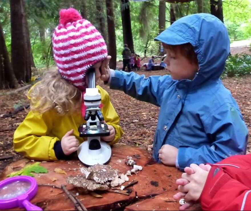 Students at the Fiddleheads, an outdoor school at the Washington Park Arboretum.