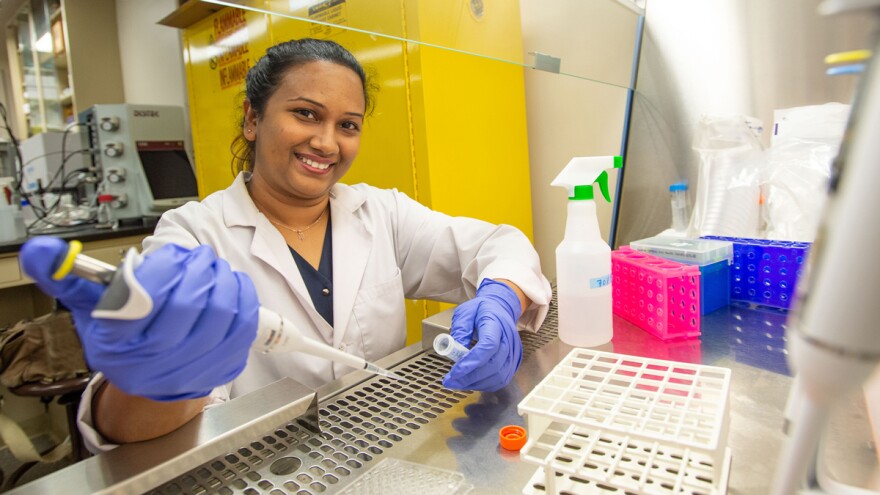  SIU doctoral student tests whether an engineered microbe can upcycle plastic waste.