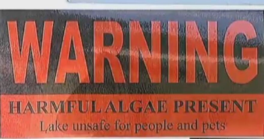 warning-algae2