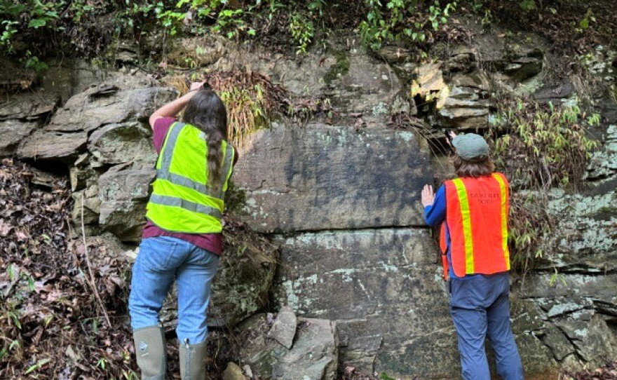 EKU students Tristan Richardson and William Taylor search for a rare salamander.