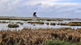 A wildlife-watching tower stands over a newly-built island in a lake near Amsterdam. The island is part of an ambitious restoration effort aimed at minimizing ecological damage caused by a nearby dam.