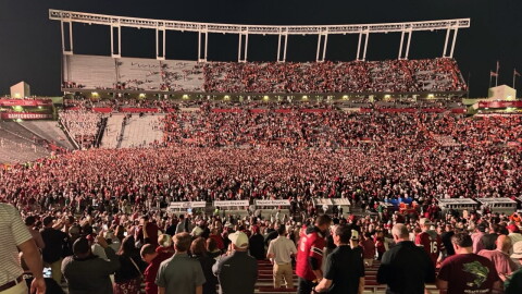 Fans on the field
