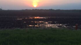 Saturated ag field