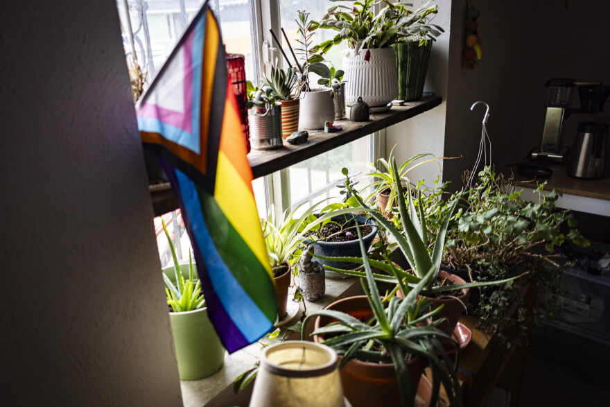 More than 20 potted plants sit on and in front of an indoor windowsill, with a rainbow-colored LGBTQ+ flag in front.