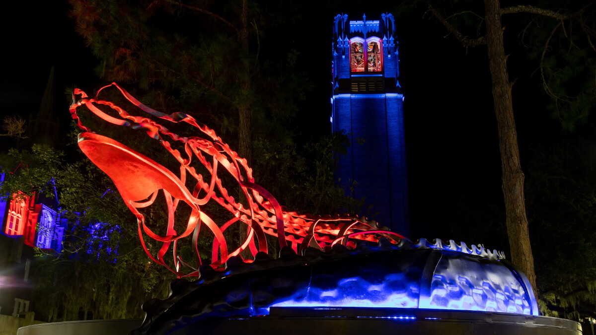 UF prepares for "Lighting of the Gator" event - Vimarsana News