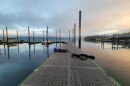 Dockfouling is the act of observing marine life found under docks. Luan Roberts and others make regular visits to docks in Washington's Puget Sound to observe and record what they find, creating a valuable data baseline for science.