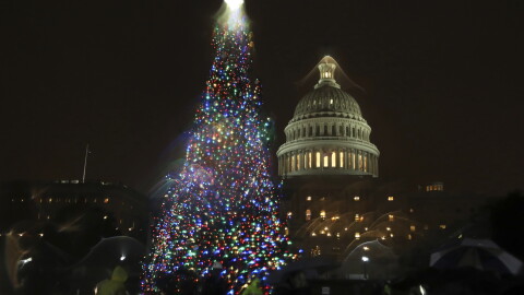 The U.S. Capitol Christmas Tree is lit up during a ceremony on the West Front of the Capitol in Washington, Tuesday, Dec. 6, 2016. The Capitol Christmas Tree is an 80-foot Engelmann Spruce from the Payette National Forest in Idaho.