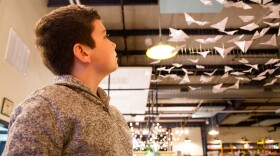 A person in a sweater looks up at an art installation of origami butterflies.