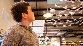 A person in a sweater looks up at an art installation of origami butterflies. 