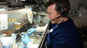 Expedition 71 Flight Engineer and NASA astronaut Mike Barratt processes brain organoid samples inside the Life Science Glovebox for a neurodegenerative disorder study. Doctors will use the results from the investigation to learn how protect a crew member’s central nervous system and provide treatments for neurodegenerative conditions on Earth. The Human Brain Organoid Models for Neurodegenerative Disease & Drug Discovery (HBOND) investigation studies 3D neuroglial organoids derived from the induced pluripotent stem cells (IPSCs) of patients with Parkinson’s disease and primary progressive multiple sclerosis. Results may improve understanding of neurodegenerative disease and accelerate the development of new treatments.