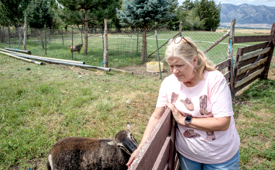 Sheri Schiess feeds her lambs with hay grown on the farm she and her husband, Boyd, decided to preserve.