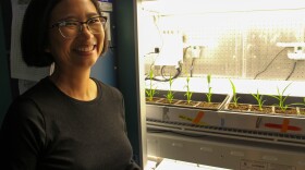 Danforth Center researcher Malia Gehan next to a growth chamber containing plants in September 2019.