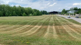 The field where BWFM in the Summer will be held.