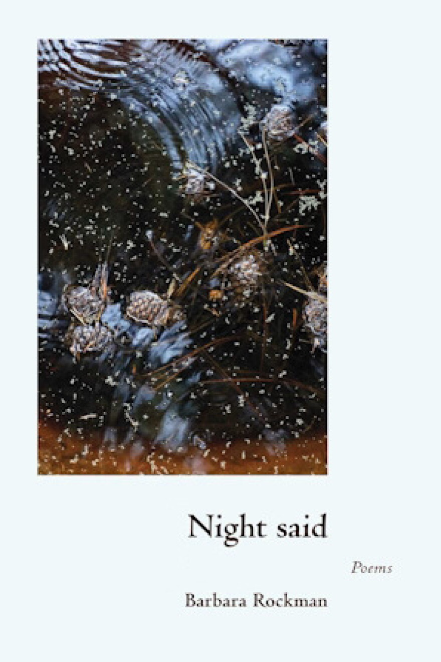 Night said - Cover