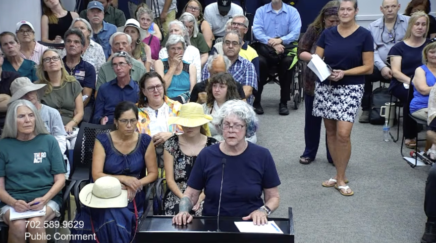 A room packed with people in chairs, most in casual clothes. One is standing at a podium to speak.
