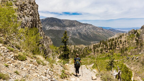 A lone hiker hikes down the Griffith Peak trail.