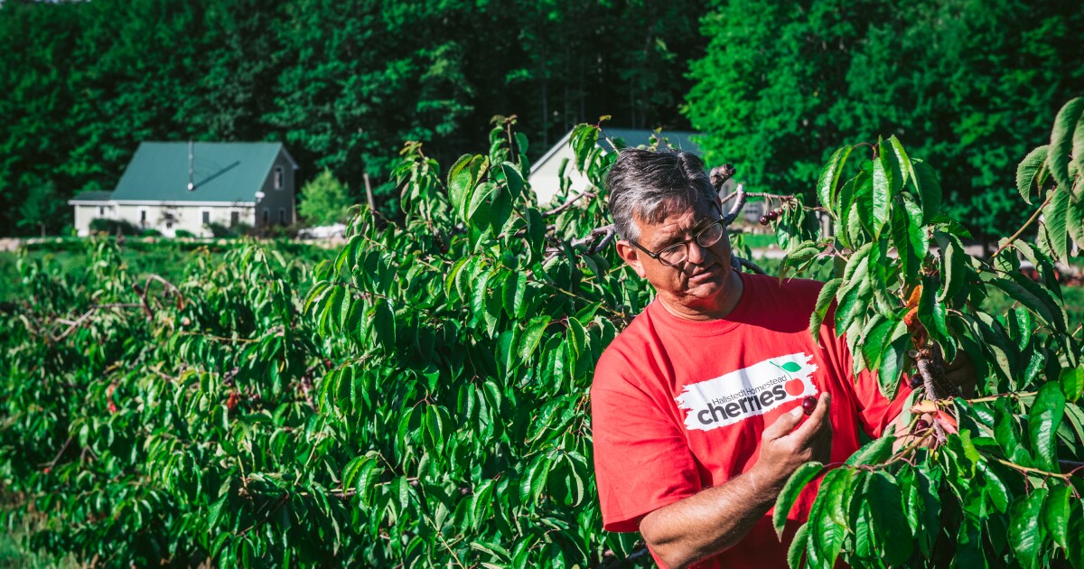 Farmers Take on Multiple Jobs to Remain on Their Land | KCUR