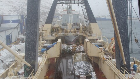 Factory Trawlers like the F/T Alaska Ocean, pictured here in Dutch Harbor in 2023, harvest Alaska pollock in the Bering Sea and process it onboard, producing fillets, surimi and fish oil all aboard the ship.