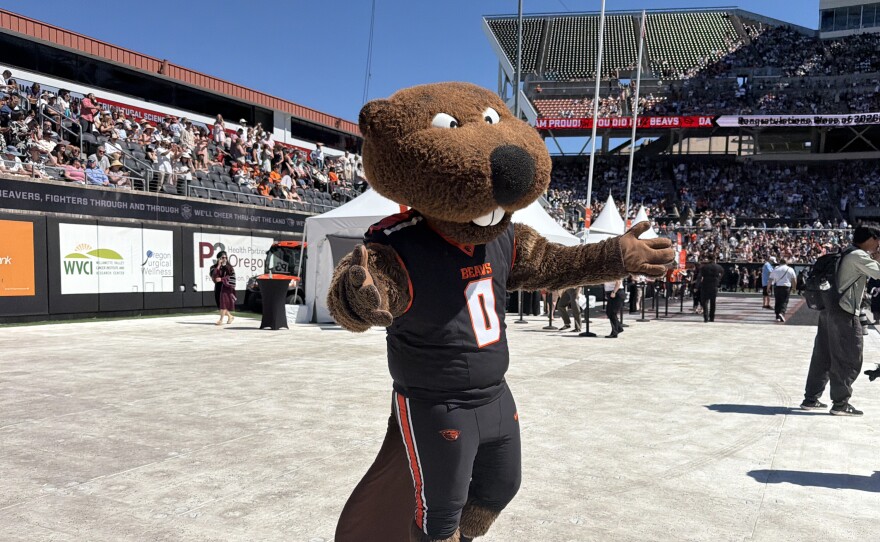 Benny the Beaver at the 2026 Oregon State University Commencement Ceremony, June 13, 2026.