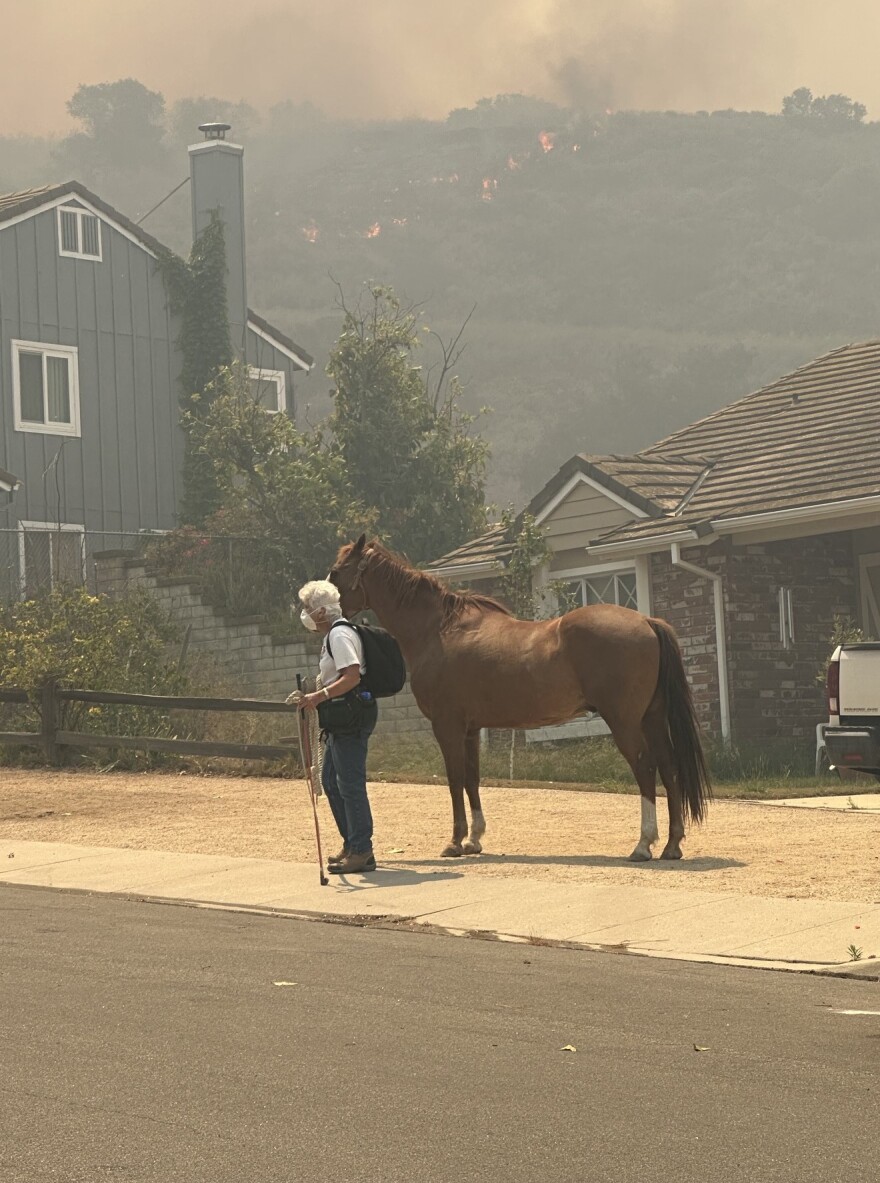 A woman evacuating a horse from a Simi Valley neighborhood during the Sandy Fire Monday.